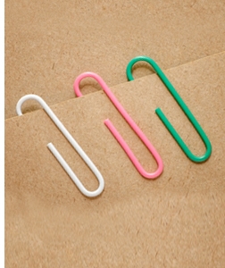 Durable Paper Clips