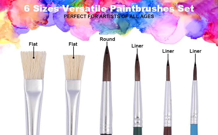 6-piece artist brush set