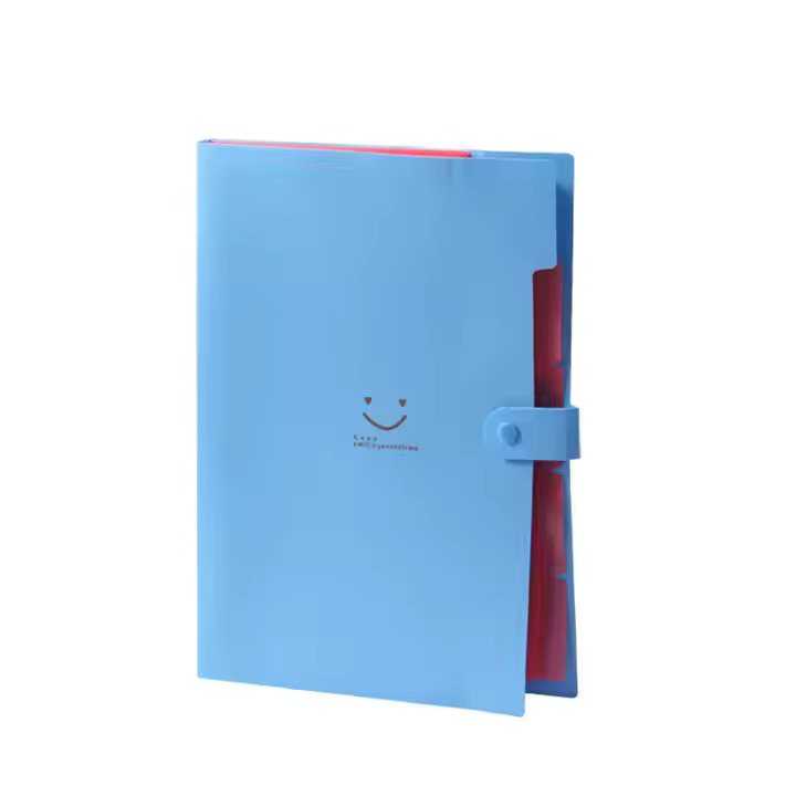 Blue Expanding File Bag