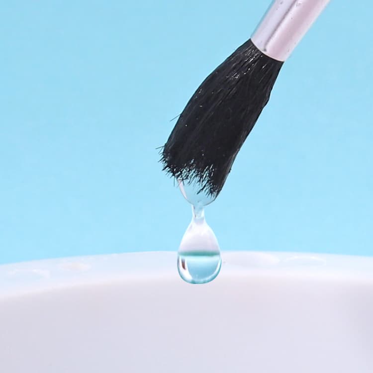 Water absorption brush