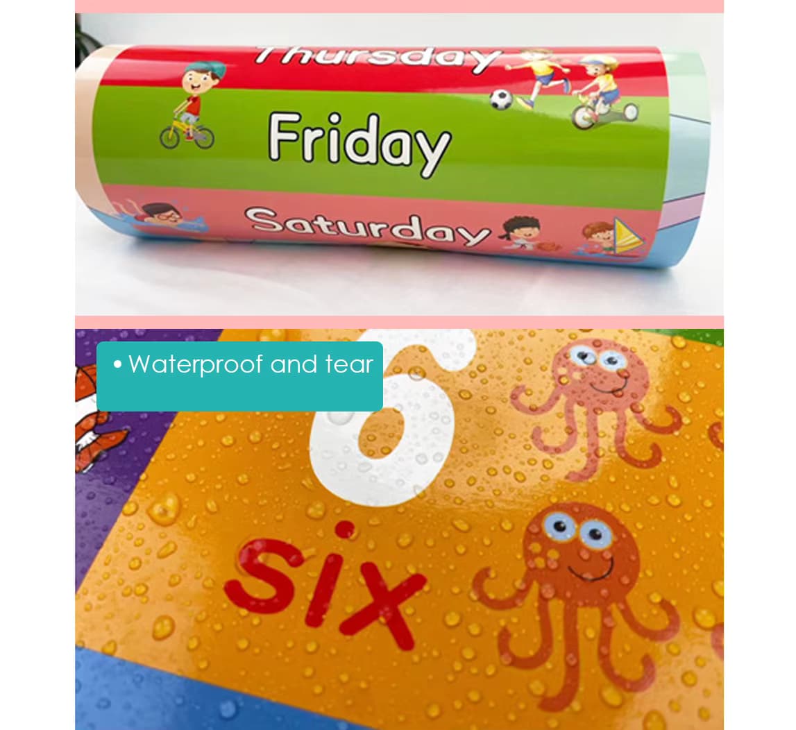 Waterproof Educational Posters for Kids