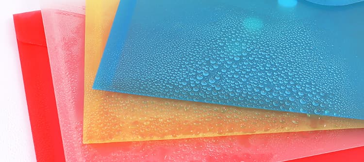 Foska Buckled File Pocket