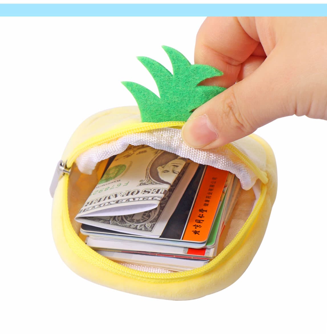 Cash Coin Purse Cash Coin Purse