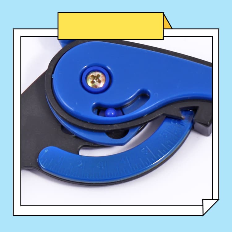 Assorted colors compass divider