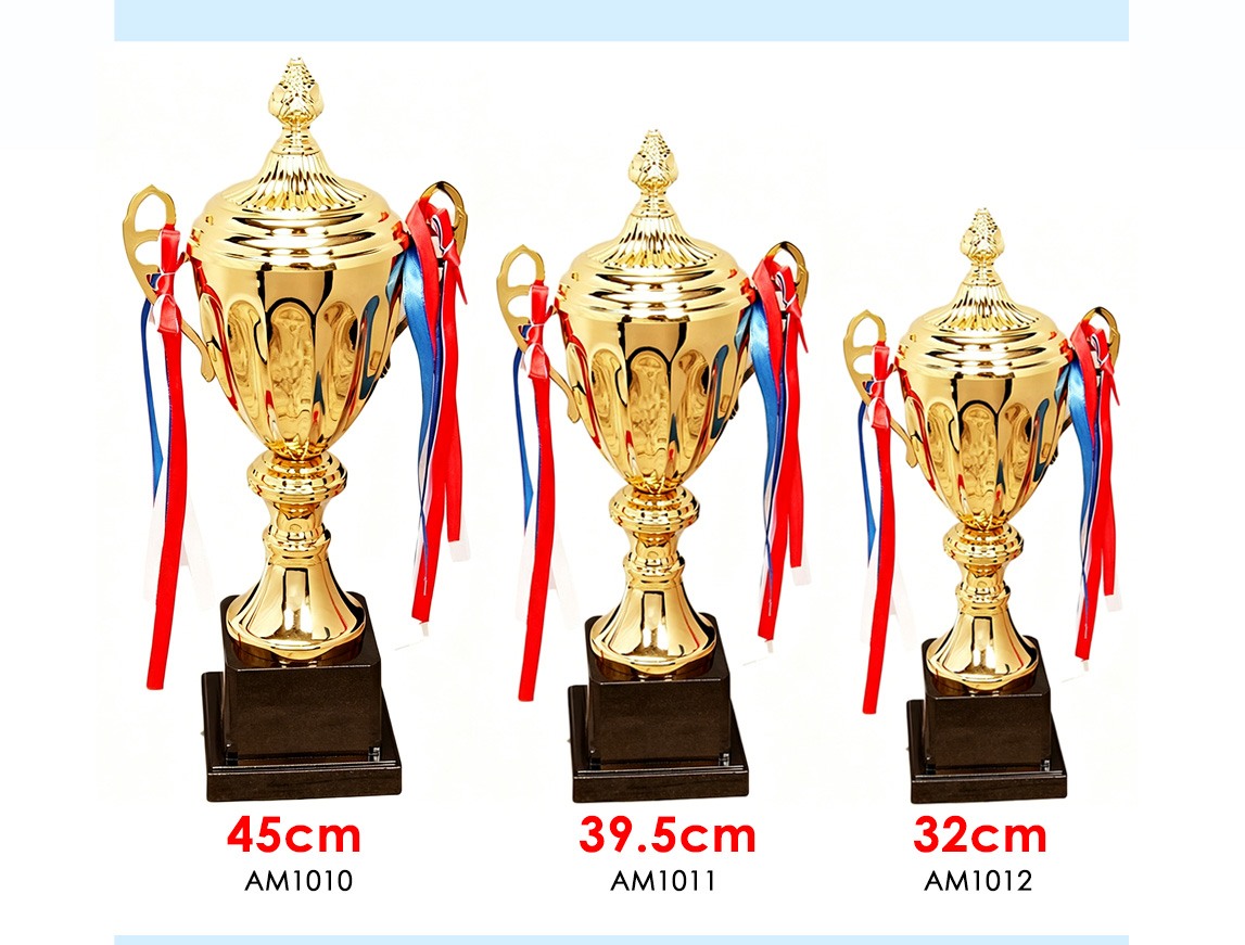 prize trophy for competition winners